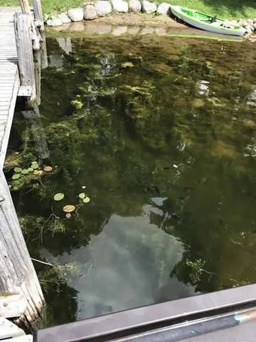 Aquatic Weed Roller