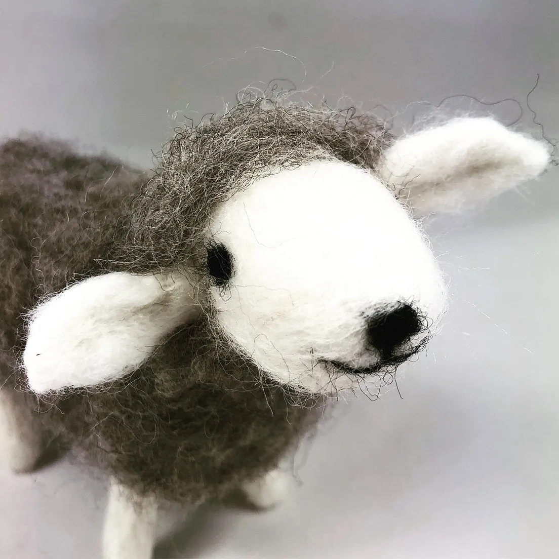 Needle Felting Kits