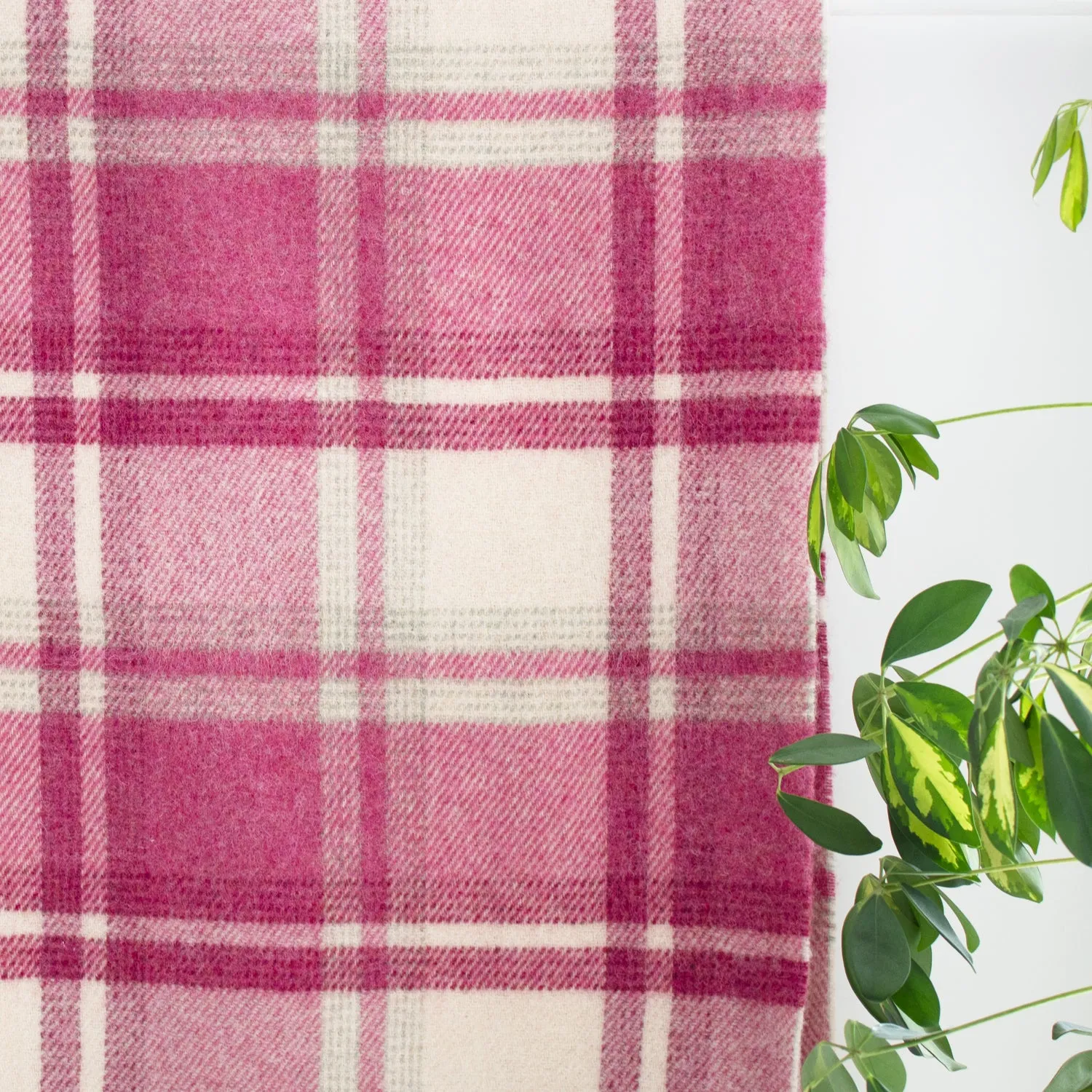 Pink & Cream Check Large Wool Blanket